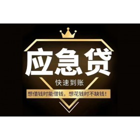 杭州汽车抵押贷款，车开走